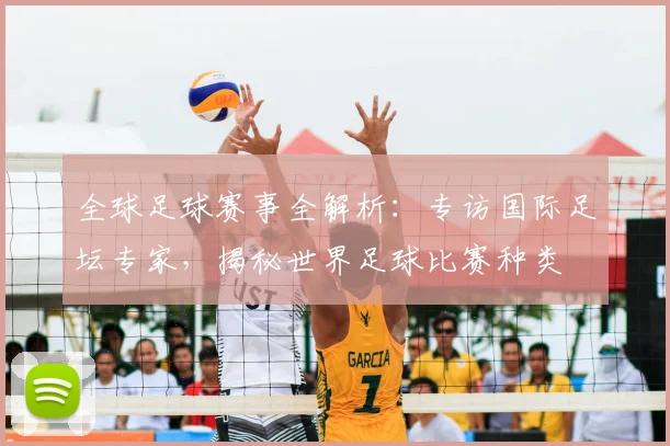 全球足球赛事全解析：专访国际足坛专家，揭秘世界足球比赛种类
